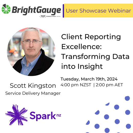 Client Reporting Excellence Transforming Data into Insight_Spark_March24