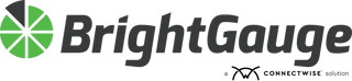 NEW BrightGauge_Master Logo-2